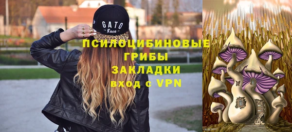 амф Медвежьегорск