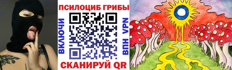 купить закладку  Энгельс  Псилоцибиновые грибы мицелий 