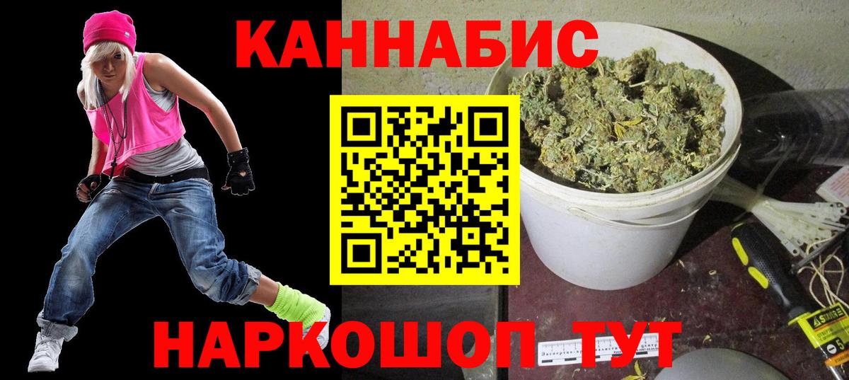 Конопля семена Энгельс