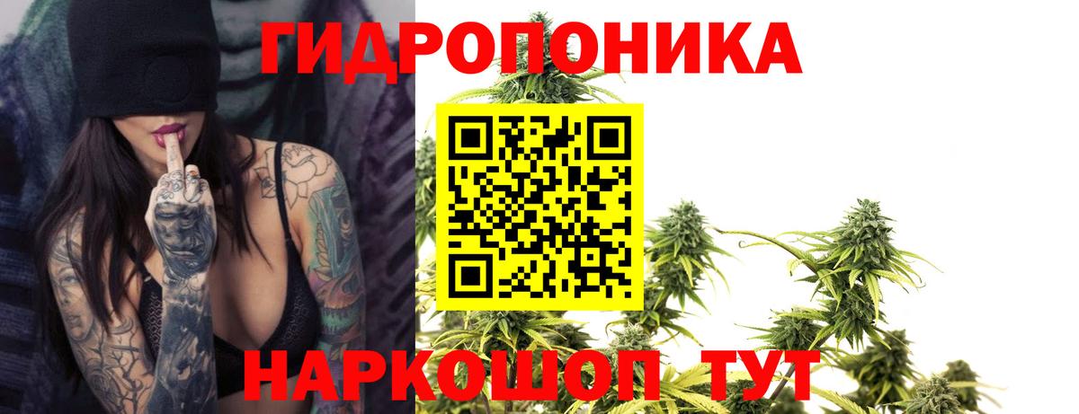 Каннабис LSD WEED  Бошки Шишки MAZAR  Энгельс  Конопля AK-47  Марихуана индика  Вход с VPN 